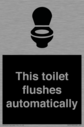 this-toilet-flushes-automatically~